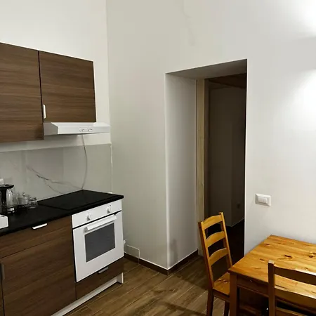 アパート Terno Su Center *